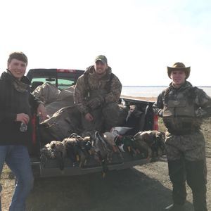 Meet your Posher, Griffin